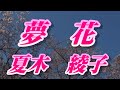 【2022年10月5日発売】夢花/夏木綾子(歌詞付き)  cover    心笑
