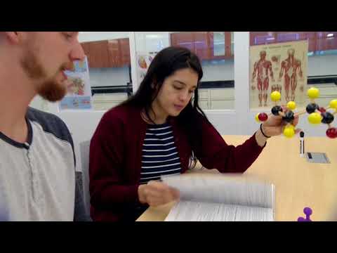 City Colleges of Chicago-Sizzle 2017