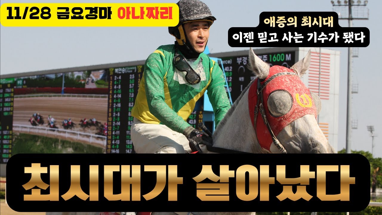 11/28 금요경마 아나짜리 살아난 최시대 활용법은??