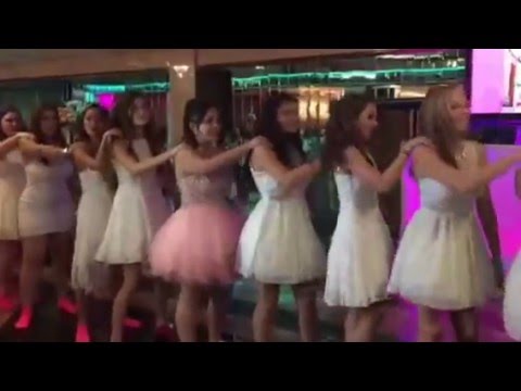 long island sweet 16 party locations 516 539 0766 ariana waterfall