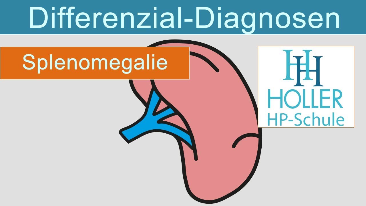 Differenzial-Diagnose Splenomegalie mit Dozent und Autor Arpana Tjard ...