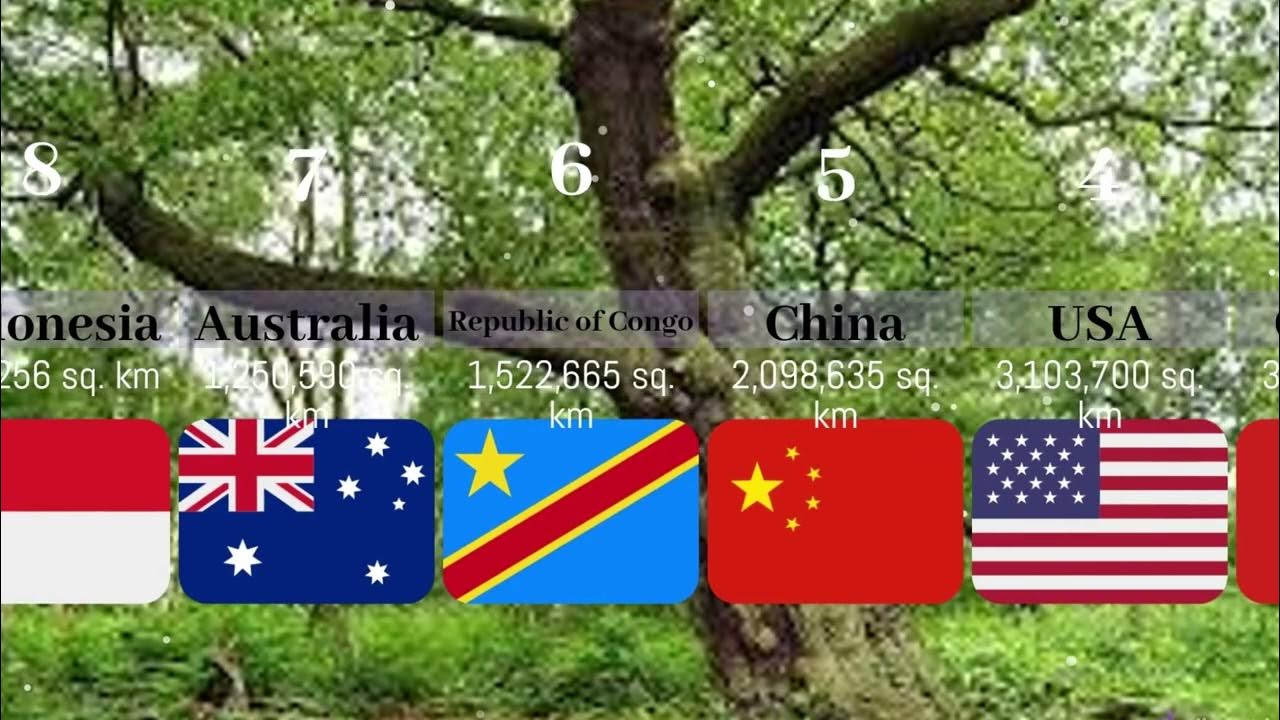 Top 10 Countries By Largest Forest YouTube top-10-countries-by-largest-forest-youtube