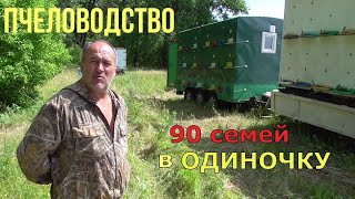 Приехал на Липу / прицеп на 54 семьи / Пчеловодство.