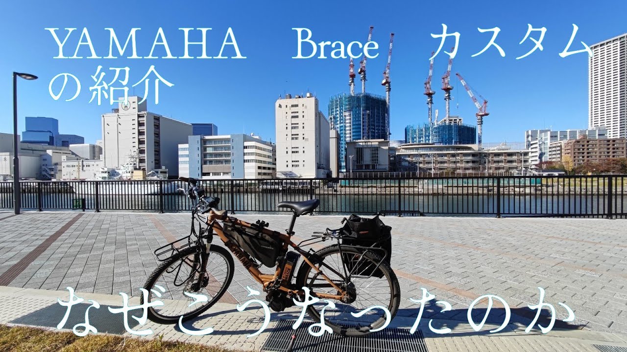 ポンコツ主のYAMAHABraceの紹介　バッテリーリコールがあったからカスタムした