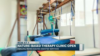 Healing Reins Opens Innovative Naturebased Pediatric Therapy Clinic
