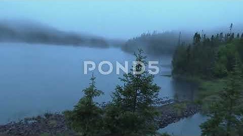 Top Private Collection of Stock Video Photos and Datasets Available