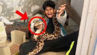 I Found a SNAKE in my Store Room!
