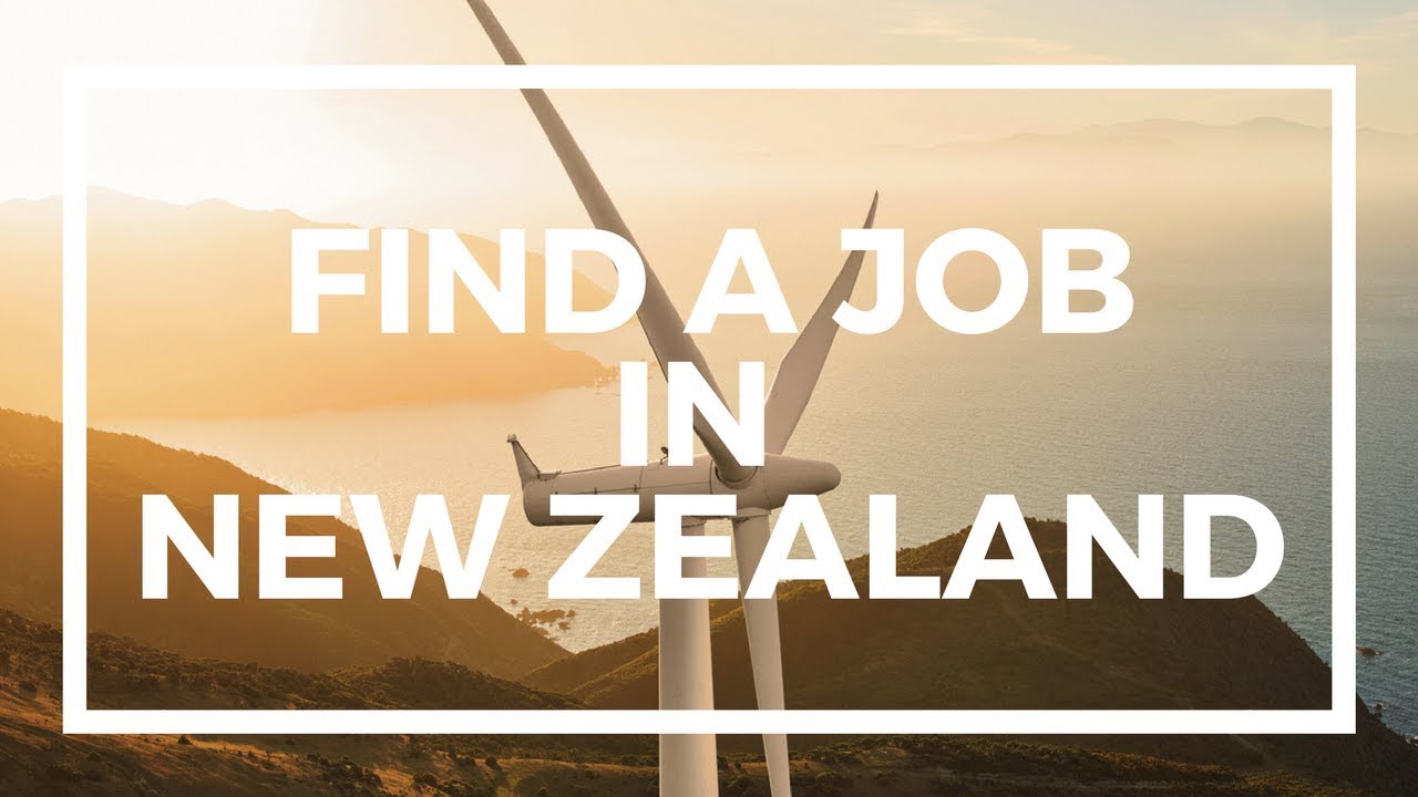 job for me zealand google job for me zealand google