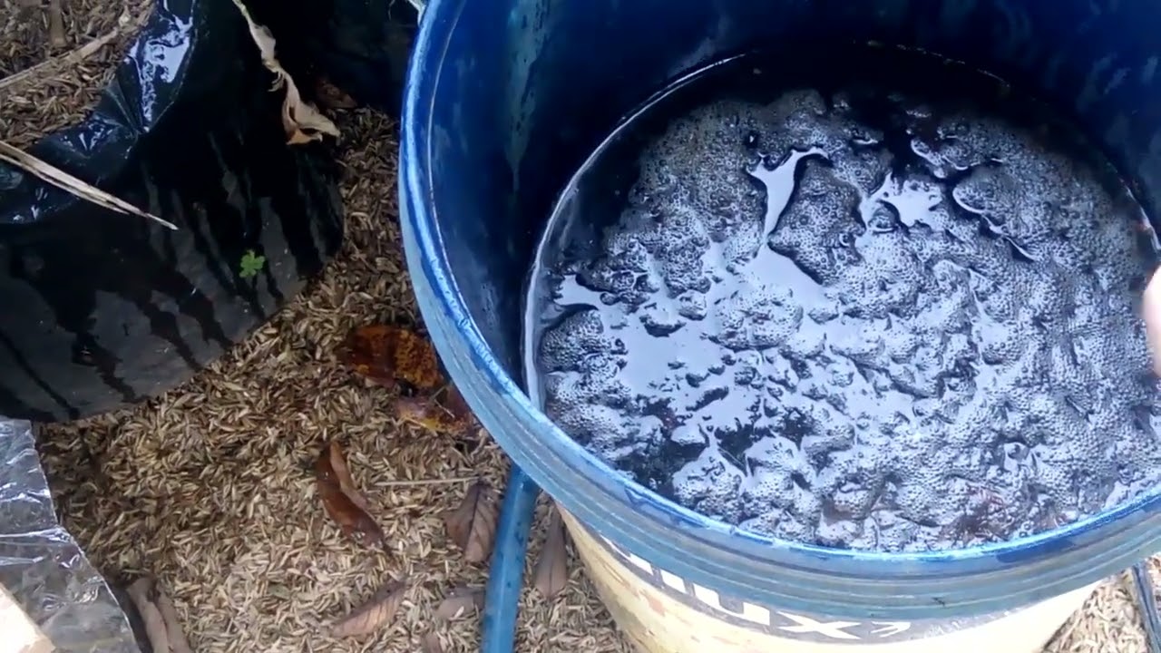 JMS SOLUSI AGAR TANAH JADI GEMBUR #jadam #jms