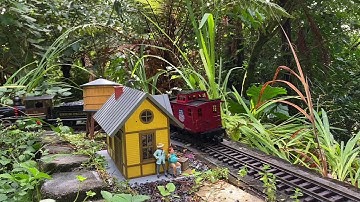 Rainforest Garden Railroad Trackside Views