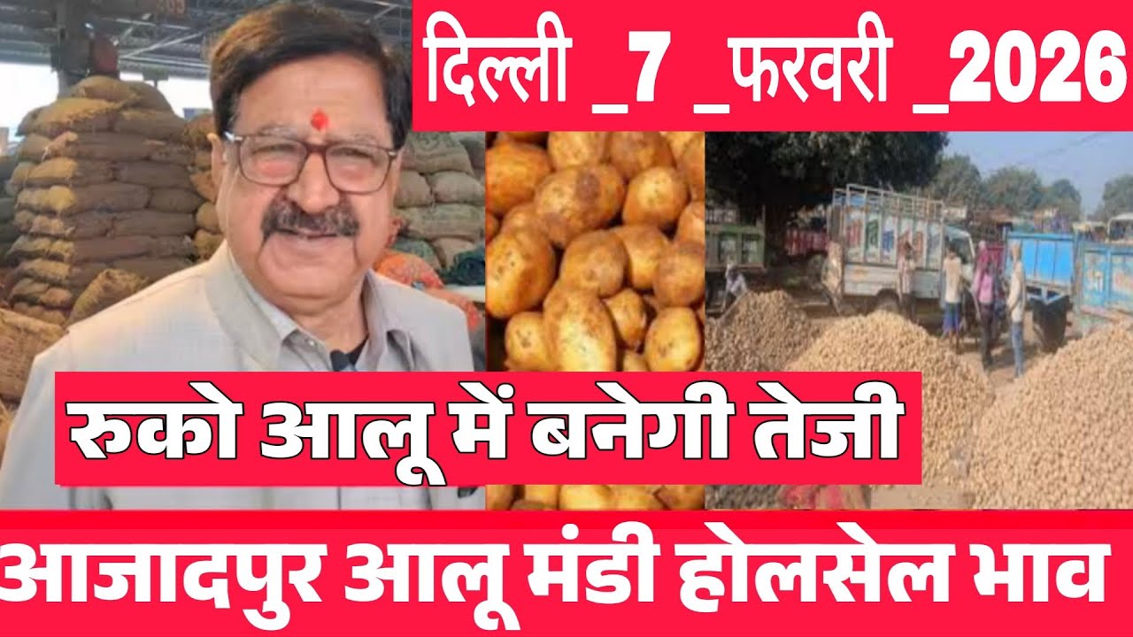फरवरी 2026 दिल्ली 🥔 February आलू के भाव Azadpur Delhi mandi today # PotatoMarket # azadpurpotato