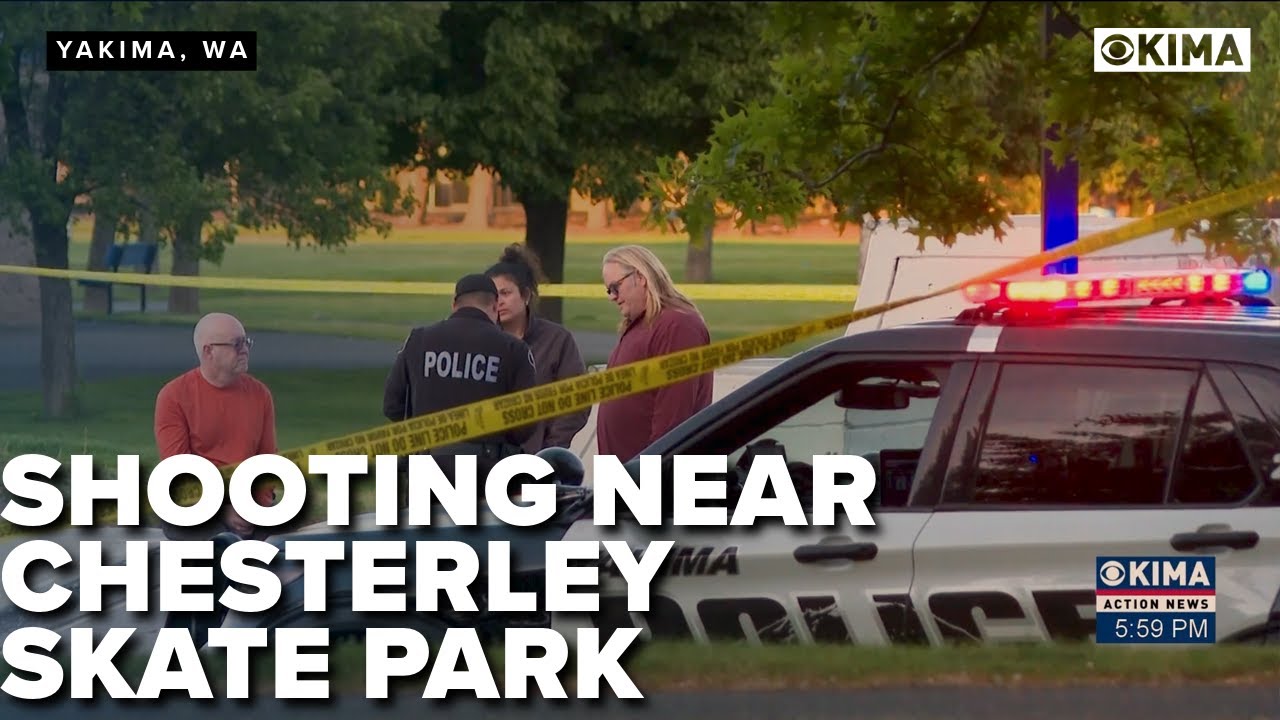 Man Fatally shot at Chesterley Skate Park after trying to stop a fight ...