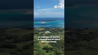 Guam Endangered Species Need Protection