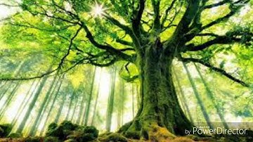 وَاسْتَفْتَحُوا وَخَابَ كُلُّ جَبَّارٍ عَنِيدٍ - تلاوة خاااااشعة جدا