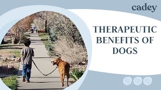 Kids with ADHD and autism: can dogs help? Researches Discuss If Dogs Can Have Autism Or Adhd
