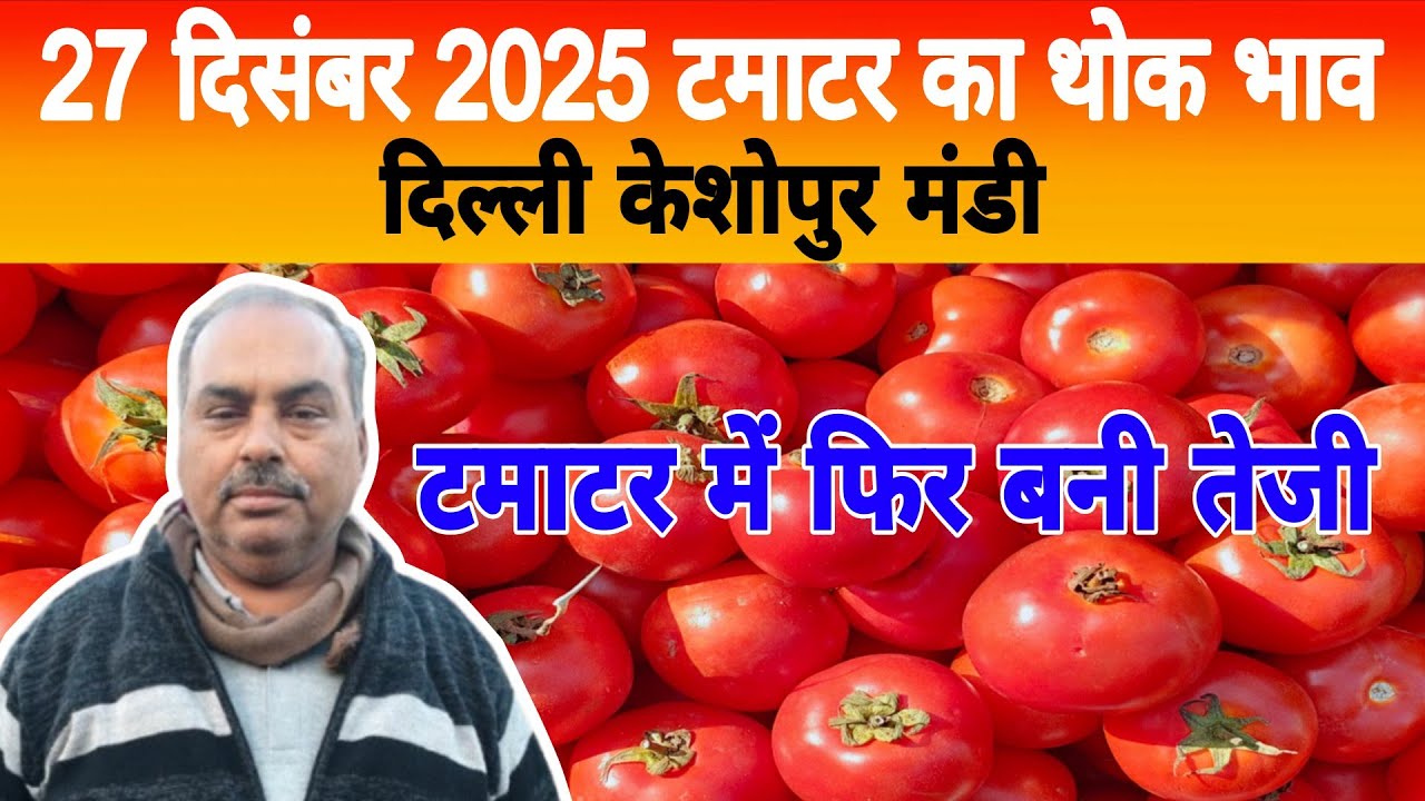 27 Dec 2025 Delhi 🍅 टमाटर होलसेल भाव | Keshopur Mandi | Today Tomato Rate 