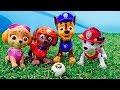 Игрушки Щенячий Патруль – Щенки Спасатели в видео для детей.