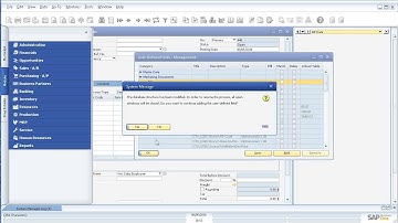 SAP Business One Custom Fields or User Defined Fields UDF