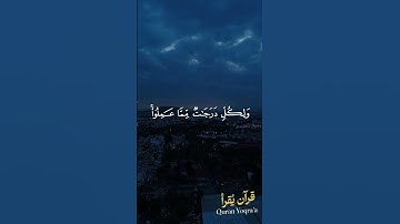 ولكل درجات مما عملو #سورة_الأنعام #القرآن_الكريم #ياسر_الدوسري#اكسبلور#راحة_نفسية #لايك #تلاوة_خاشعة