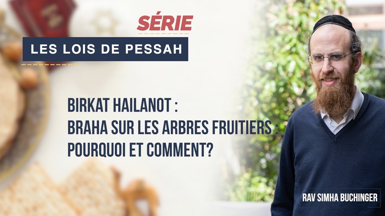 Les Lois de Pessah : Birkat Hailanot : Braha sur les arbres fruitiers : Pourquoi et comment?