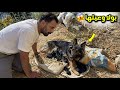 اخيرا بقيت بولا والغريب لقيتها ولده في الشارع mp3