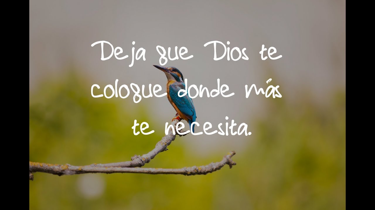 CUANDO NO TE ELIGEN. Fiesta de San Mateo, apóstol, ciclo A (Mt 9,9-13) meditacion para principiantes
