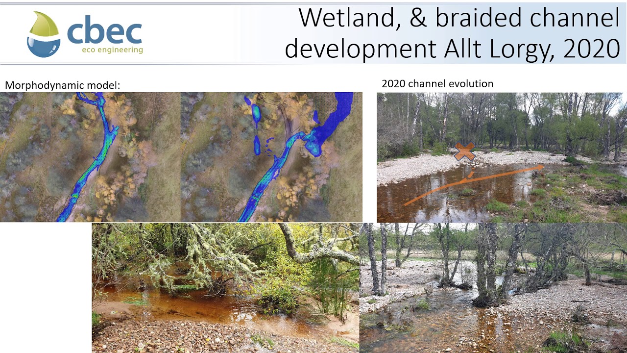 Restoring multi life-stage, connected aquatic habitat