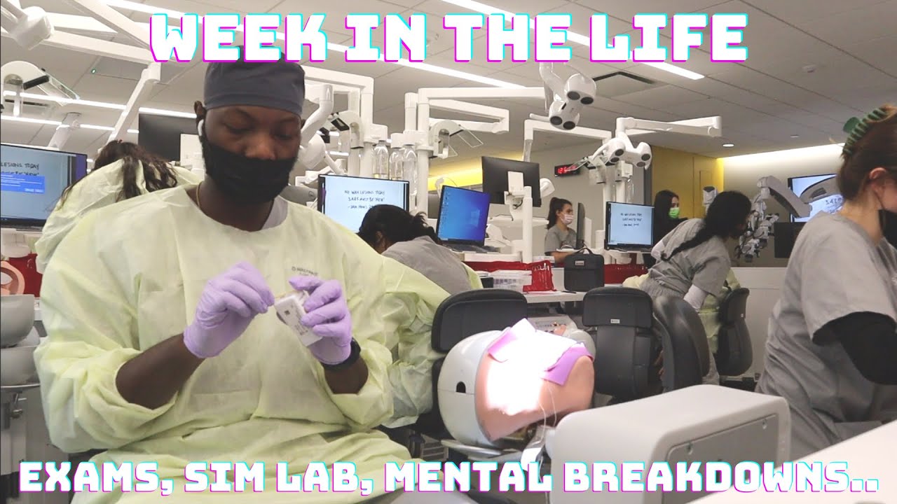 DENTAL SCHOOL VLOG: A WEEK IN THE LIFE OF A DENTAL STUDENT - YouTube
