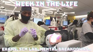DENTAL SCHOOL VLOG: A WEEK IN THE LIFE OF A DENTAL STUDENT