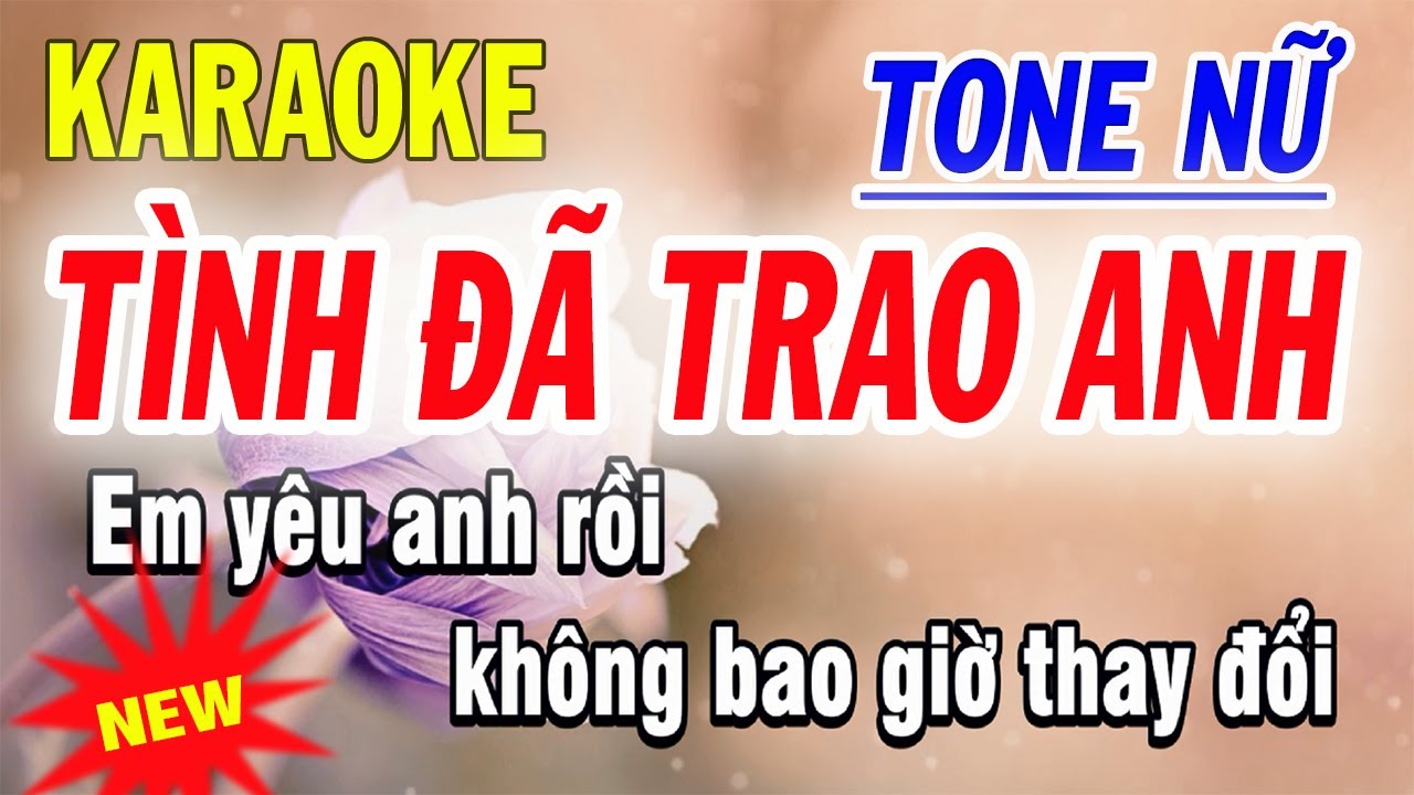 Tình Đã Trao Anh Karaoke - Tone Nữ - ST CNS Ánh Như