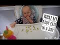 WHAT MY 12 MONTH OLD EATS IN A DAY| Tres Chic Mama
