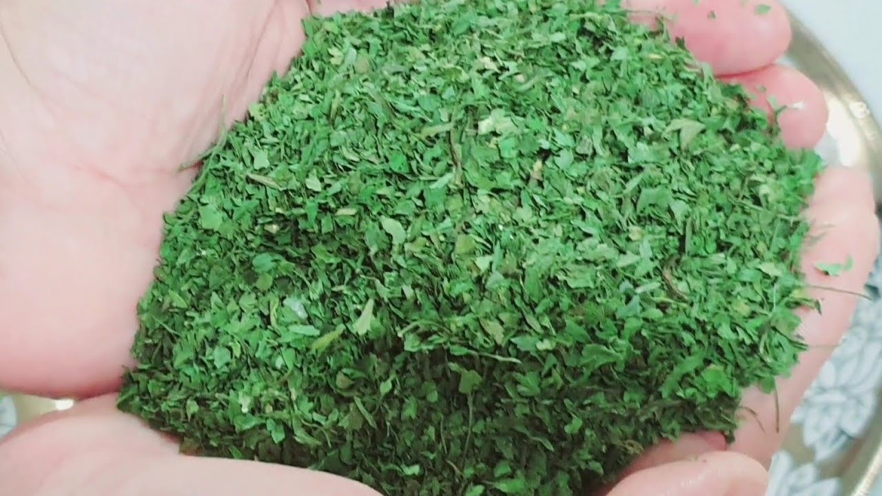 احسن طريقة باش تصيبي قزبر وبقدونس كيبقاو مدة طويلة غير جربيه بهاد الطريقة