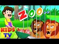 Old MacDonald Had A Zoo | Songs And Videos by Kids Tv