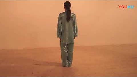 Thái cực quyền 24 thức bản trân truyền võ đang phái