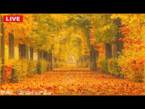 Thumbnail for 🔴 Relaxing Music - Rain Sounds For Sleeping, Sleep Music, Calming Music, Beautiful Piano Music, Rain