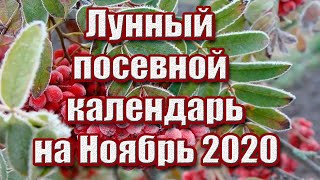 ЛУННЫЙ ПОСЕВНОЙ КАЛЕНДАРЬ НА НОЯБРЬ 2020 года