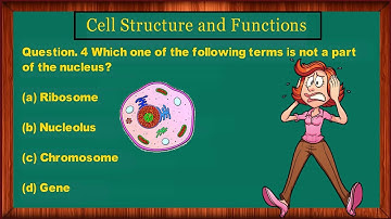 Cell Structure and Functions NCERT Exemplar Class 8 Science Chapter 8