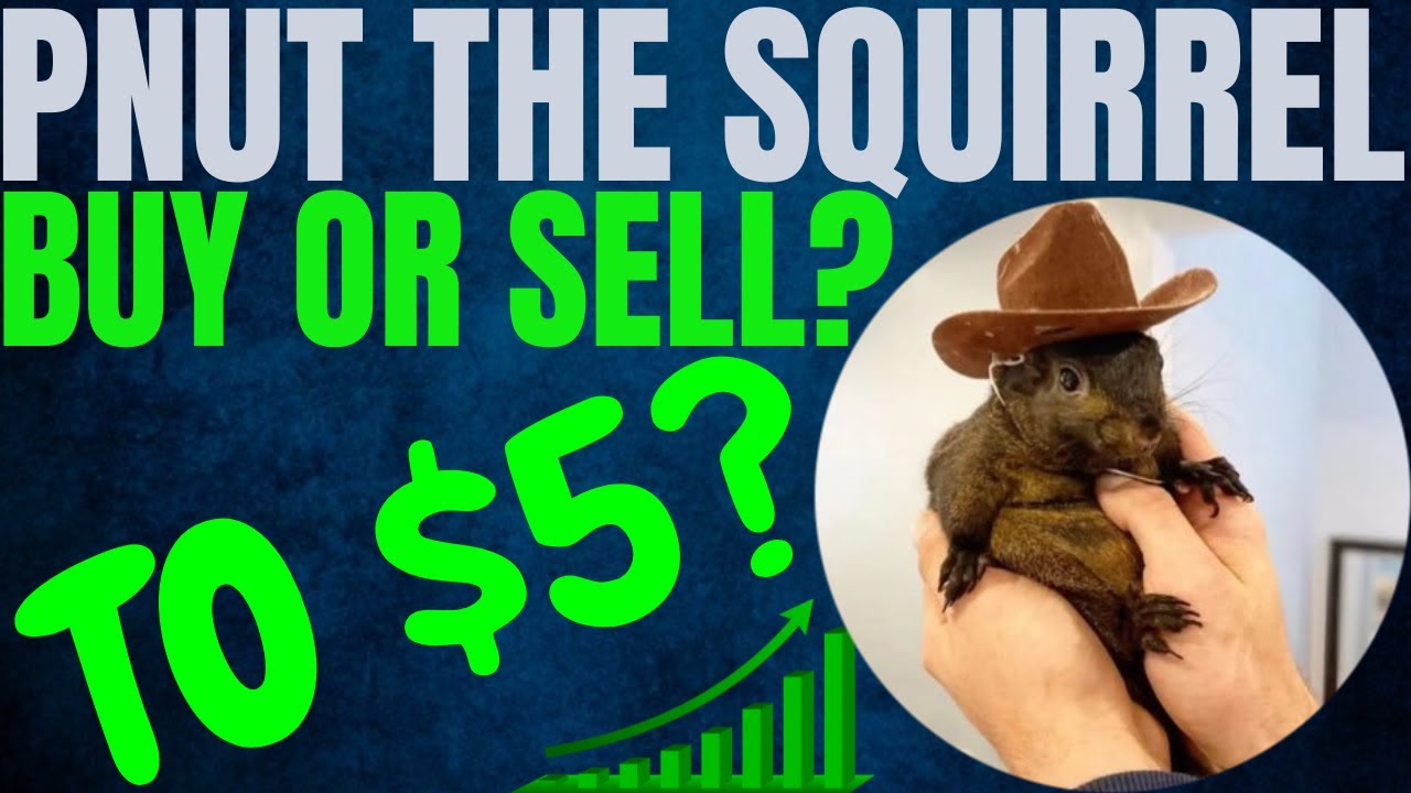PNUT COIN MAJOR PRICE PUMP! PEANUT THE SQUIRREL PRICE PREDICTION &  ANALYSIS! PNUT CRYPTO PRICE - YouTube