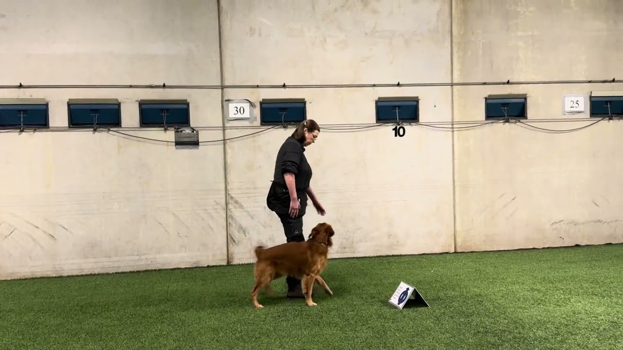 Sonic Talenttropp 2026, pre-lekse