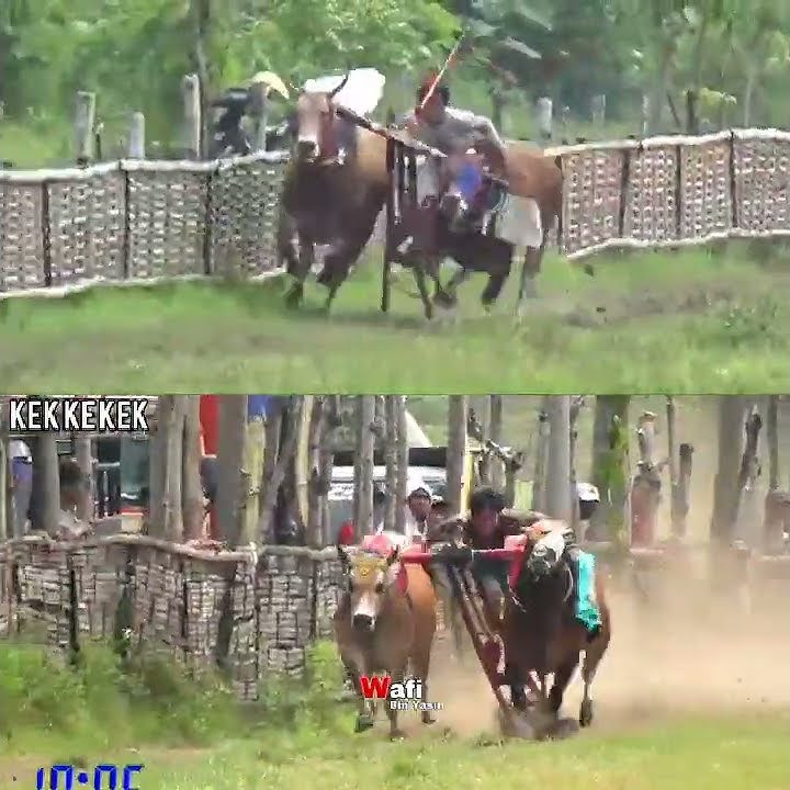 jet metic sampang vs kek kek jek jawa