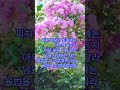 율법의 완성은 사랑입니다