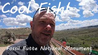 Fossil Butte National Monument.  Fossil quarries in Southwestern Wyoming