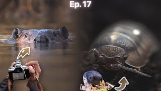 Early Spring Wildlife & Macro Photography