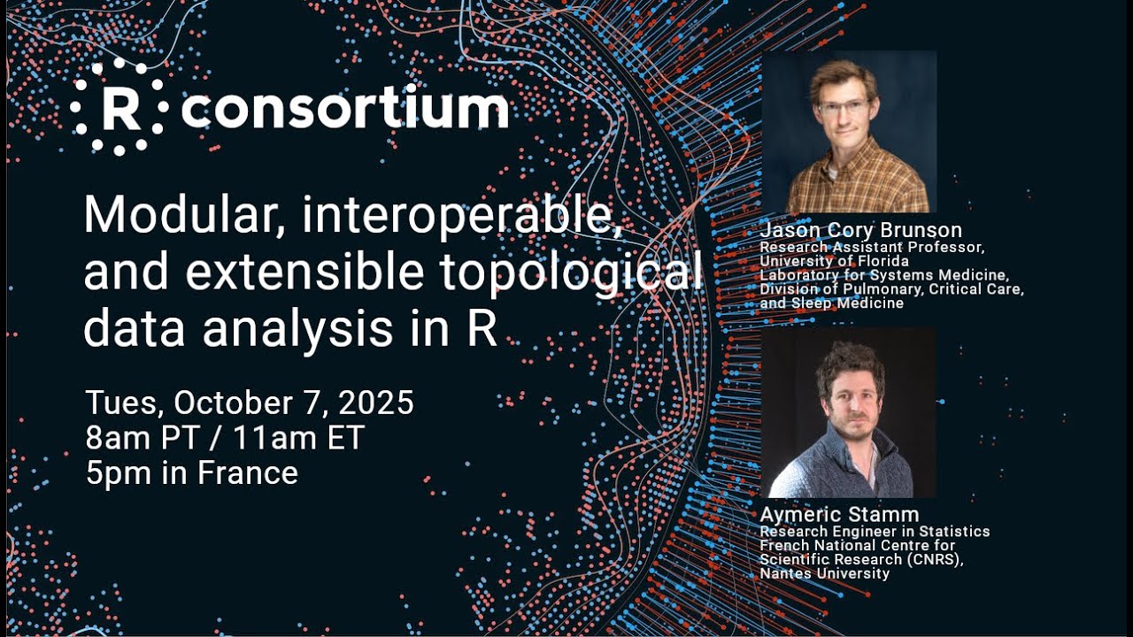 Модульный, совместимый и расширяемый топологический анализ данных в R