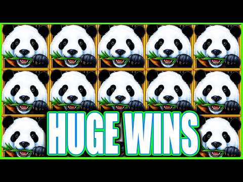 Μπες στο καζίνο με ζωντανές παίκτες στο Alawin - Παίξε τώρα online!