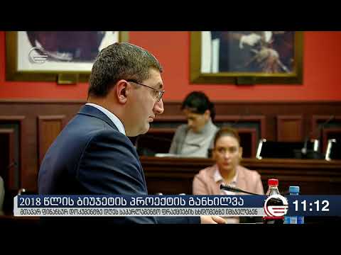 2018 წლის ბიუჯეტის პროექტის განხილვა