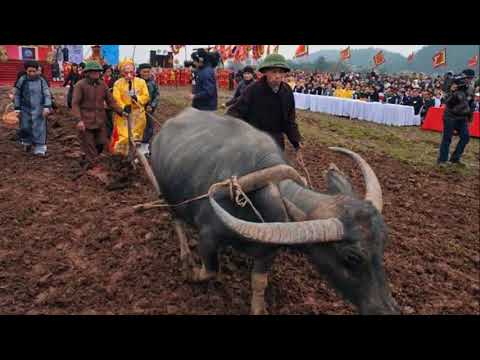 Một số lễ hội lớn đầu xuân