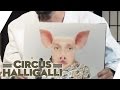 Aushalten: Nicht lachen (Tag Team Edition) - Teil 2 | Circus Halligalli | ProSieben