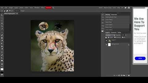 using the cloning stamp, healing brush, and patch tool in photopea.com