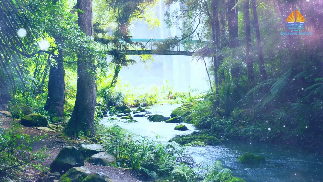 Song From The Forest Stream Song From The Forest Stream